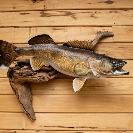 Walleye Inn Baudette Dış mekan fotoğraf
